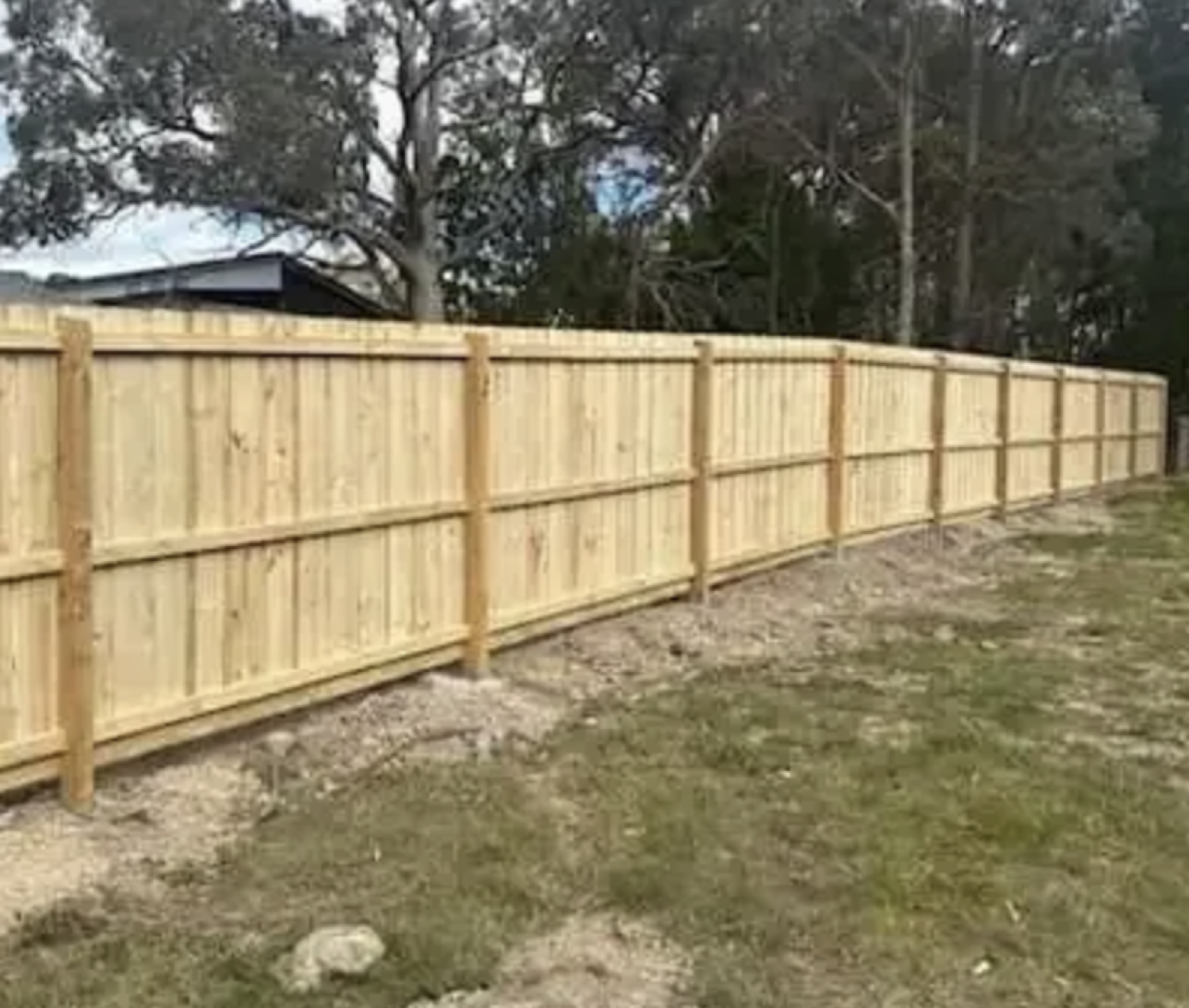 a tall timber paling fence along a back boundary